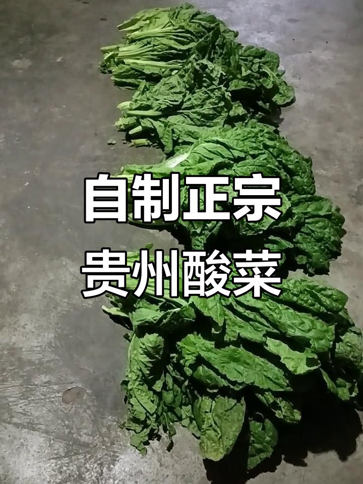 贵州酸菜大制作,快来尝尝这地道美味!