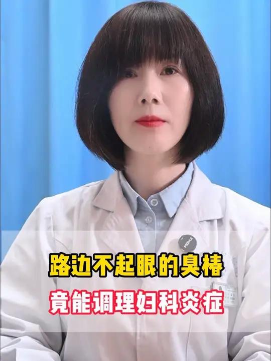 路边不起眼的臭椿，竟能调理妇科炎症？