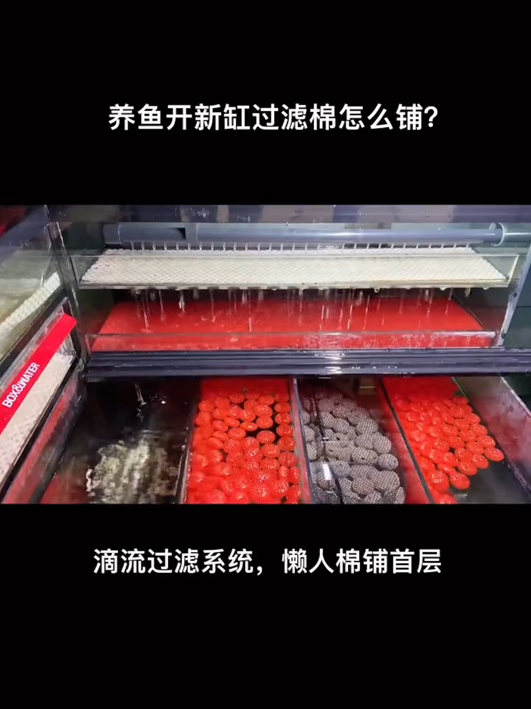 鱼缸过滤棉的合理摆放顺序