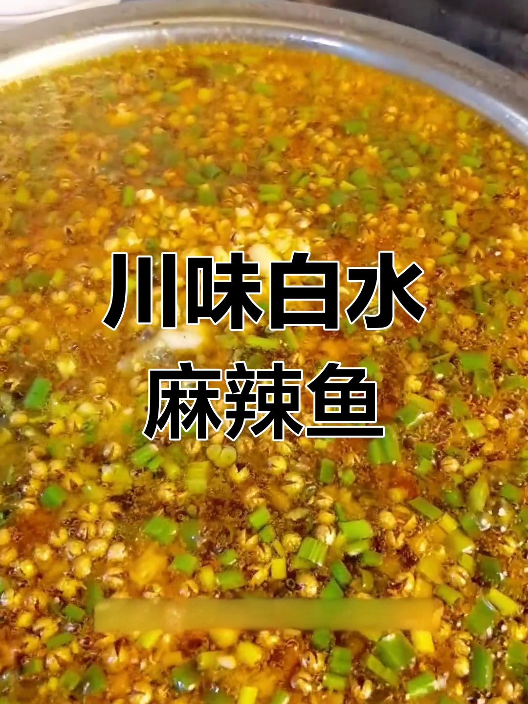 白水煮麻辣鱼,四川风味十足!