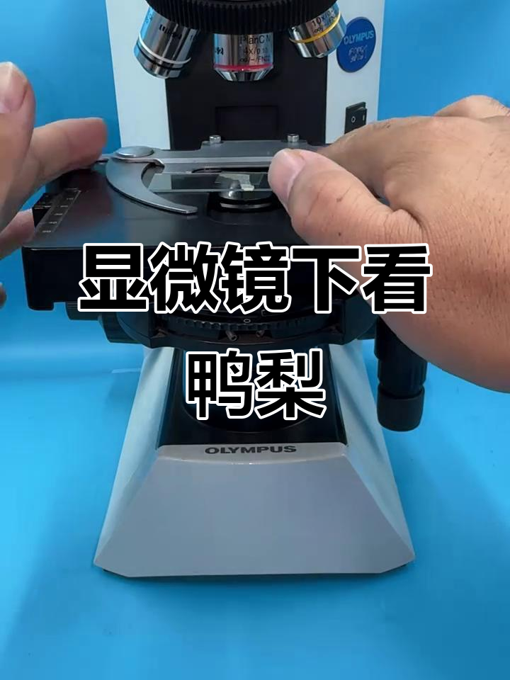 鸭梨细胞放大后,竟然是这样!你见过吗?