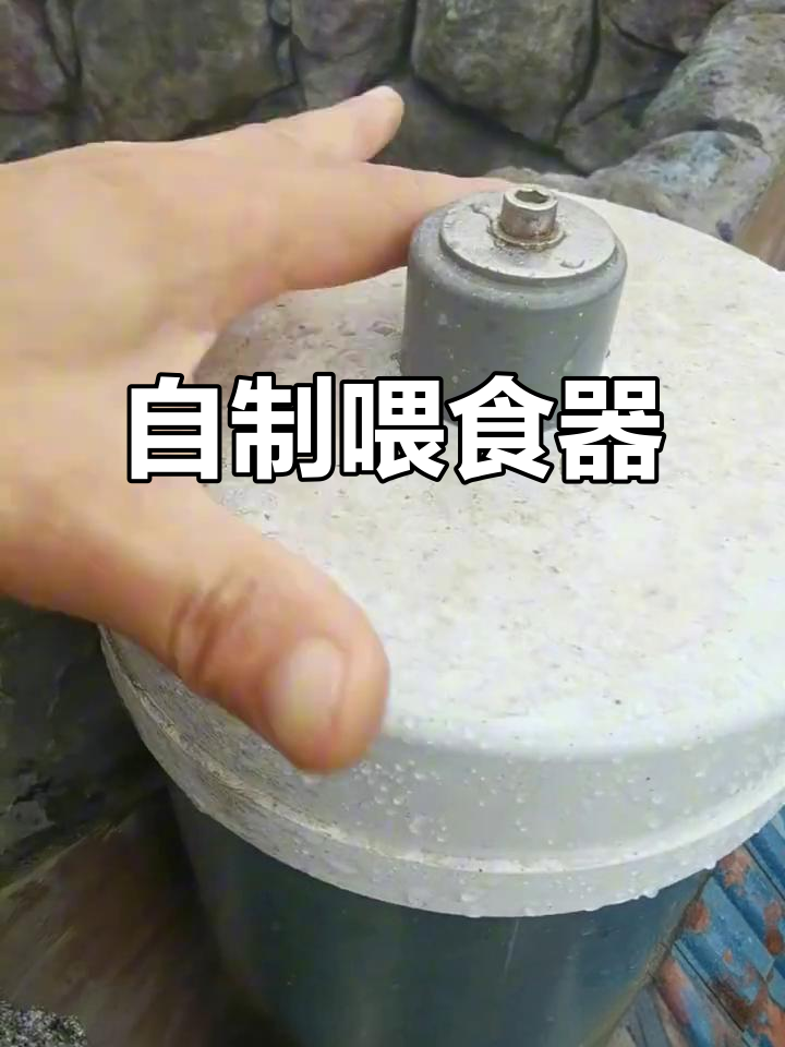 手工DIY喂鱼神器，出差旅游必备