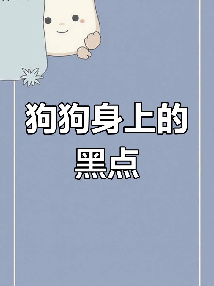 狗狗身上黑色疙瘩,可能是蜱虫在作怪