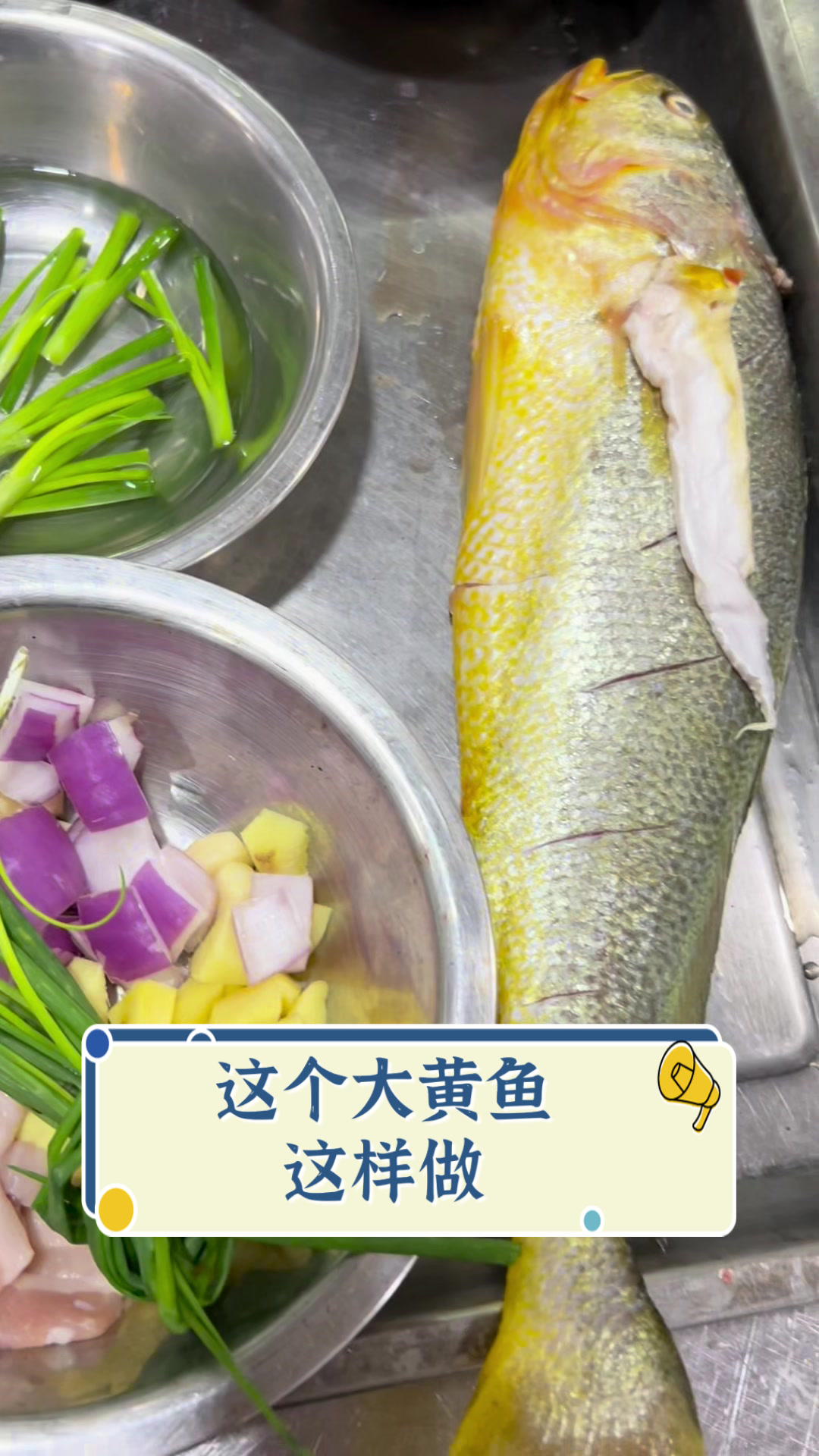 这个大黄鱼这样做