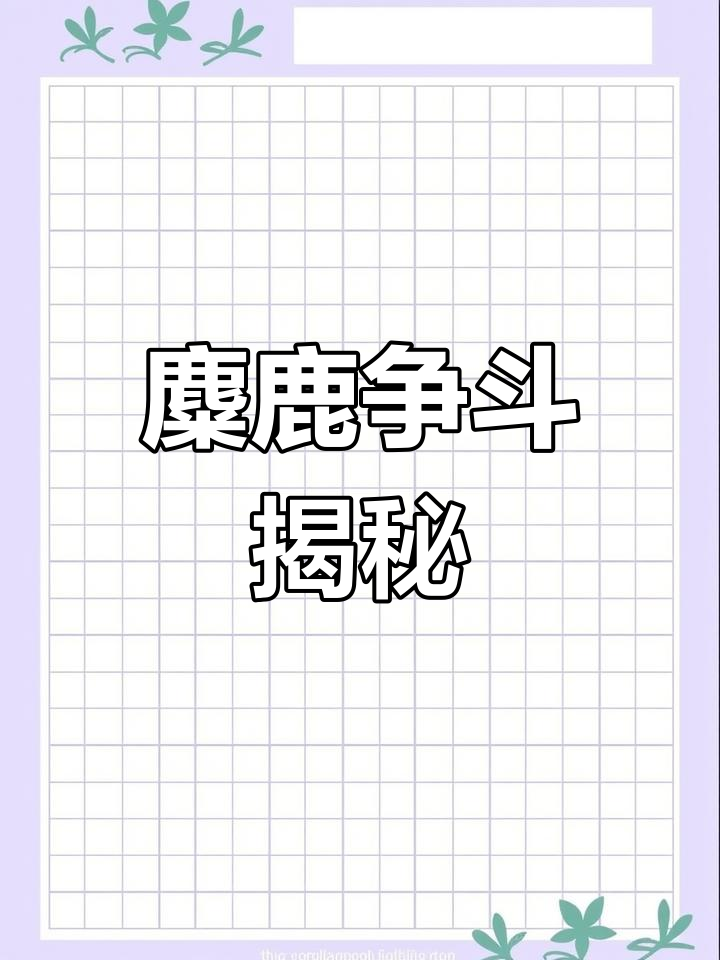 麋鹿为争夺交配权,双角对决激烈碰撞