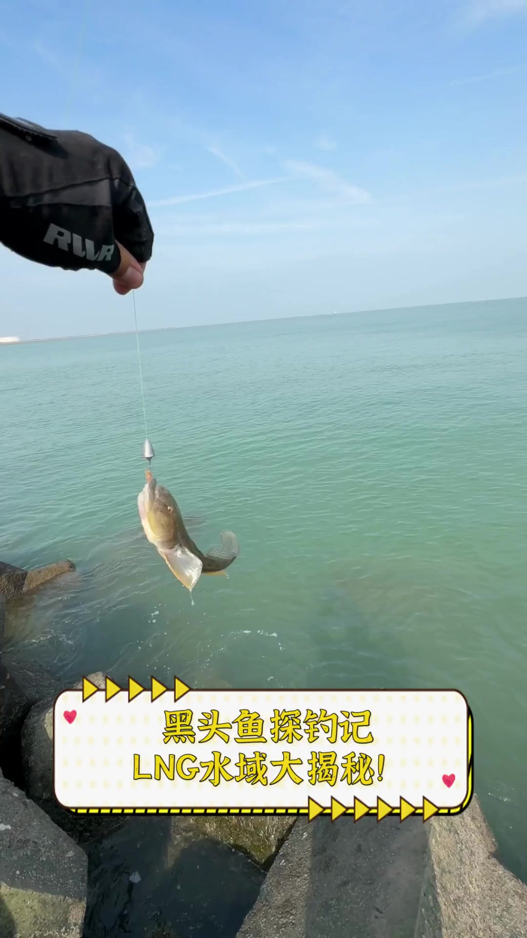 黑头鱼探钓记,LNG水域大揭秘!