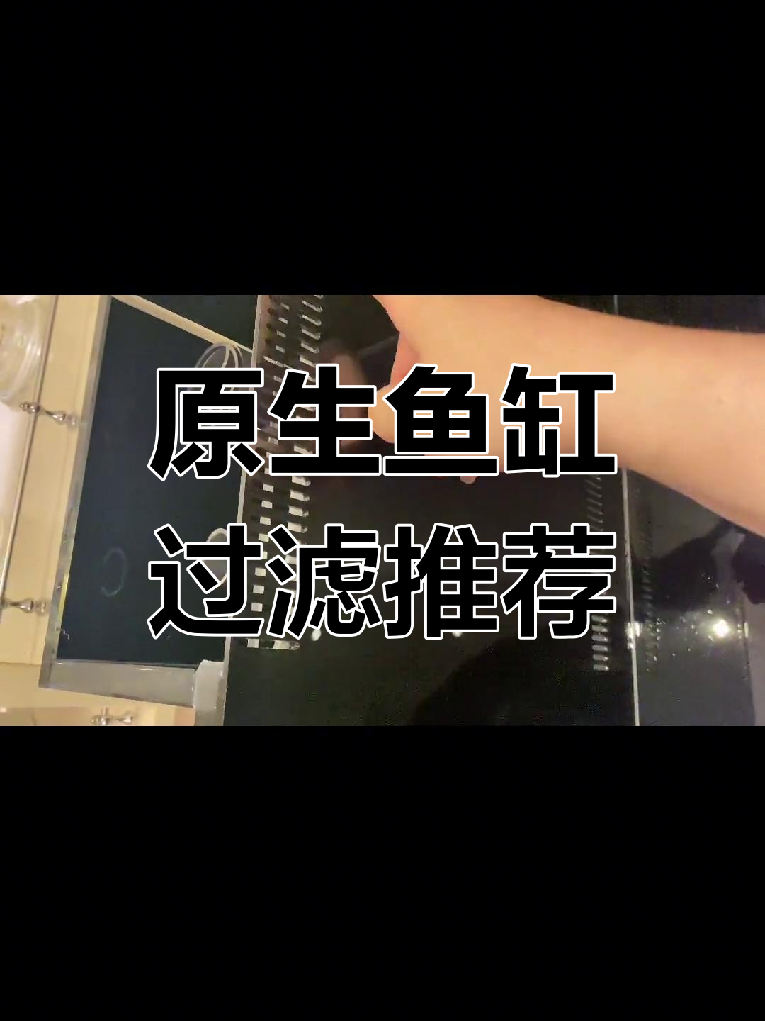 原生鱼缸过滤配置详解,定制设计分享