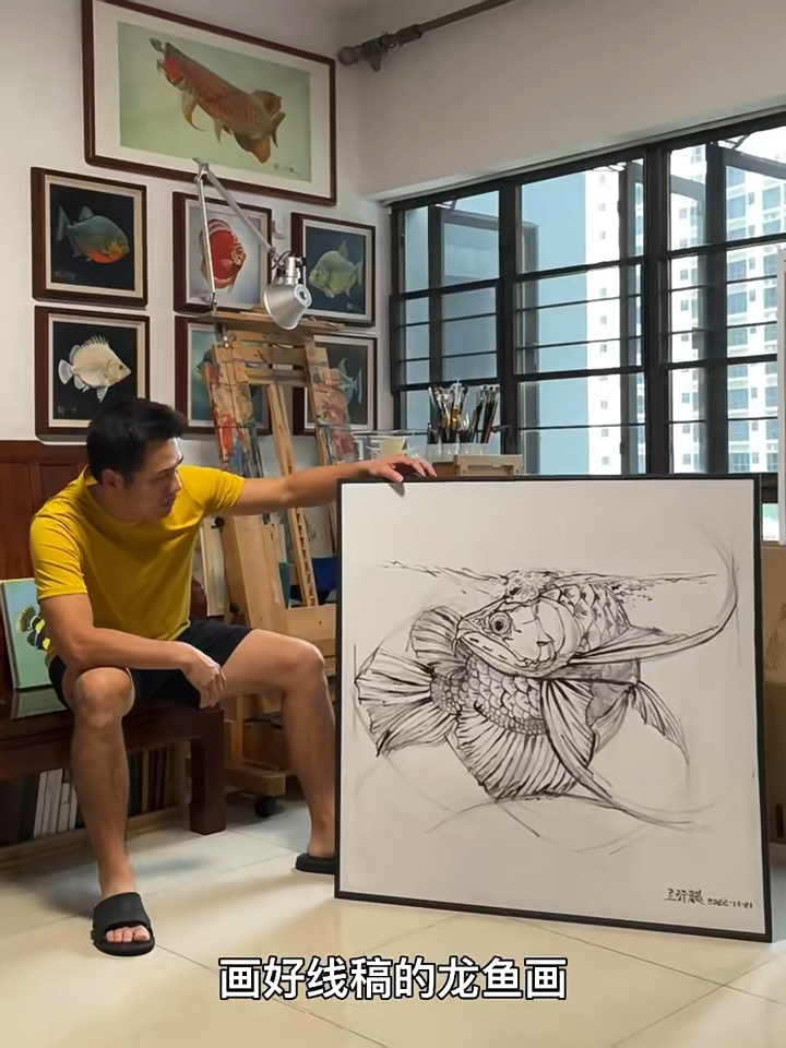 龙鱼速写,感受动感十足的线条魅力!