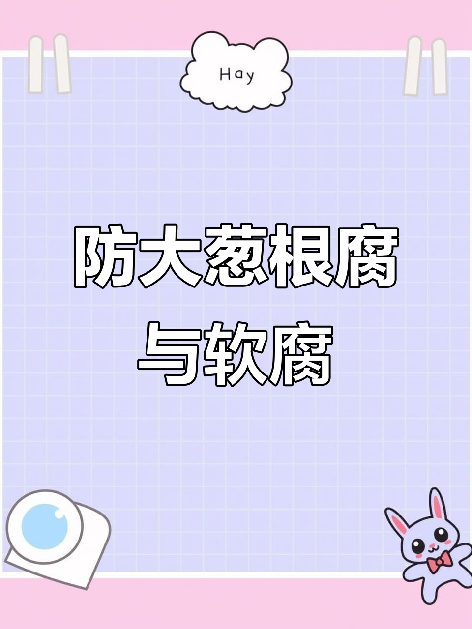 大雨后大葱根腐病高发,如何防治软腐病?