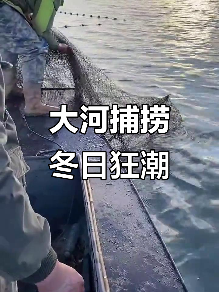 冬季鱼网迷魂阵,大河拦住鱼儿去路