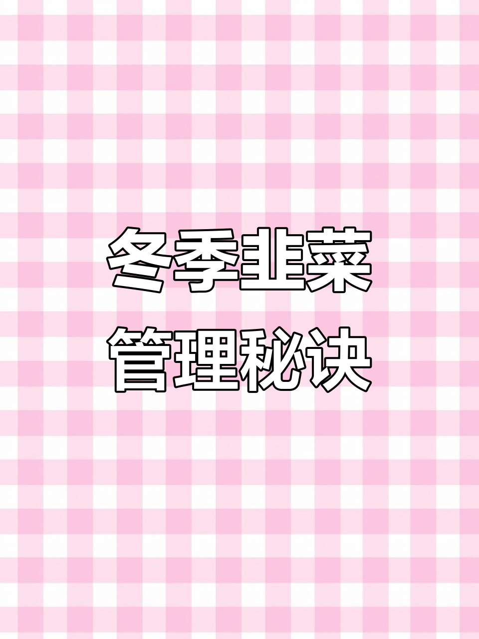 霜降后韭菜如何过冬?保护技巧大公开