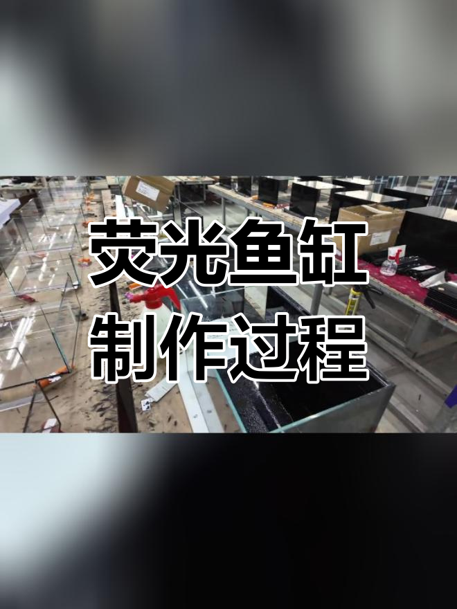 萤火虫底滤鱼缸制作全流程