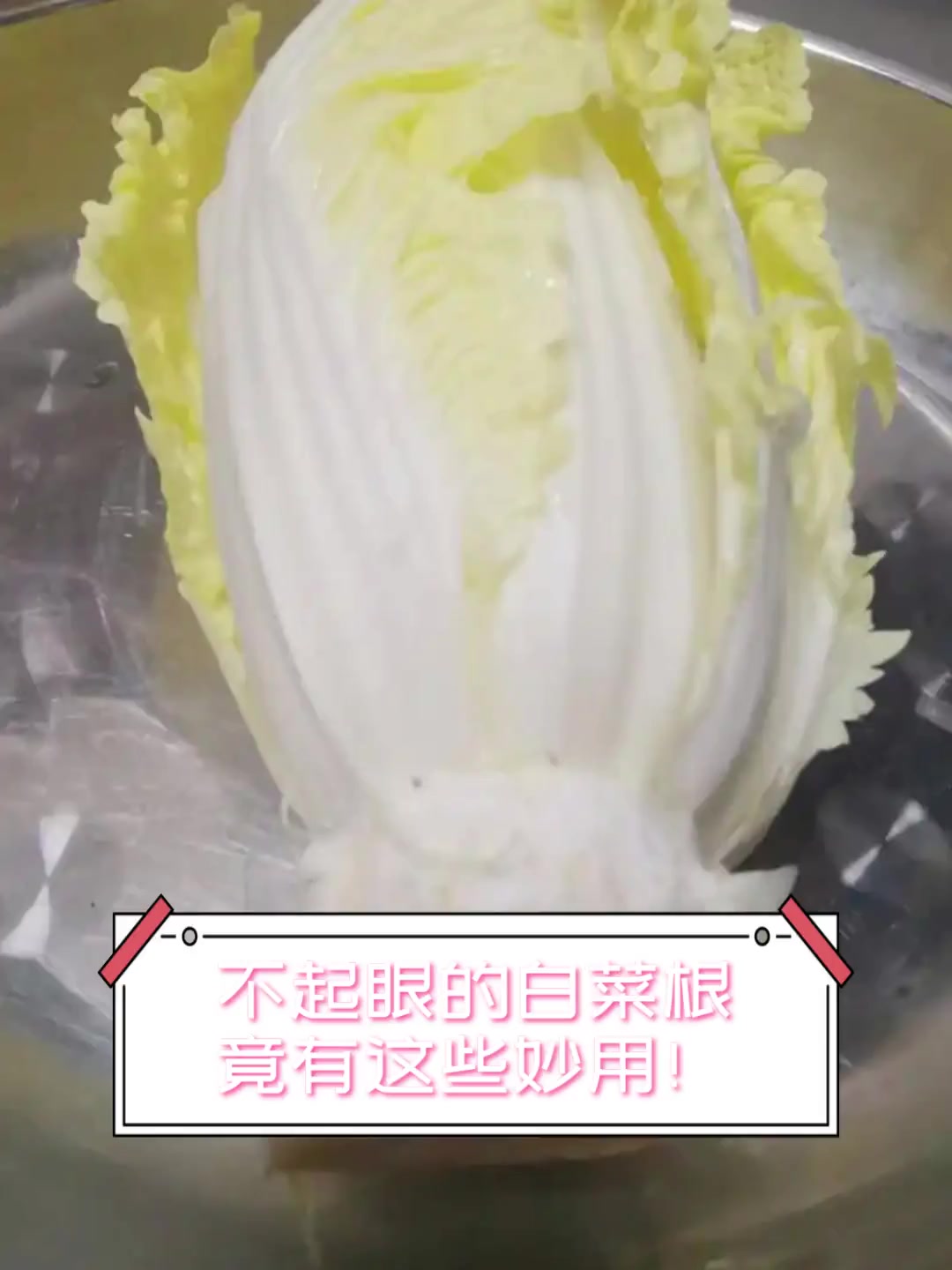 不起眼的白菜根,竟有这些妙用!