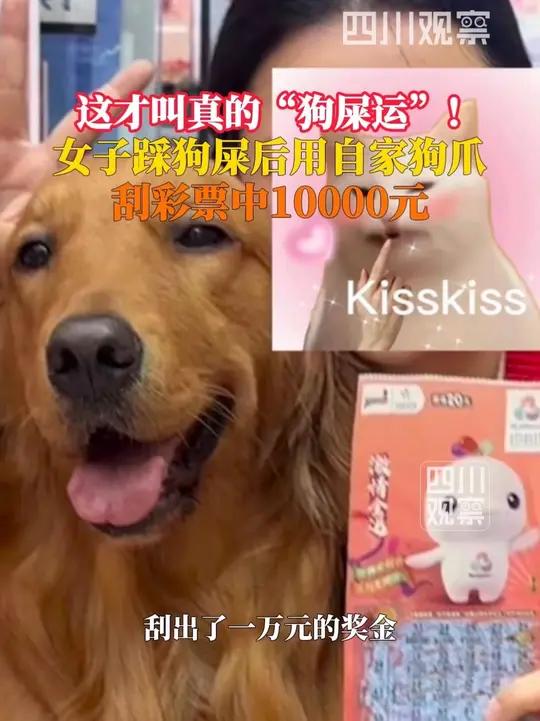 真·狗屎运！12月2日，广东深圳，女子踩狗屎后用狗爪刮彩票中1万元，回家后给小狗买了蛋糕和
