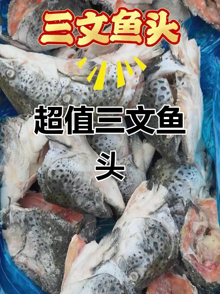 挪威三文鱼头,肉多新鲜,性价比超高