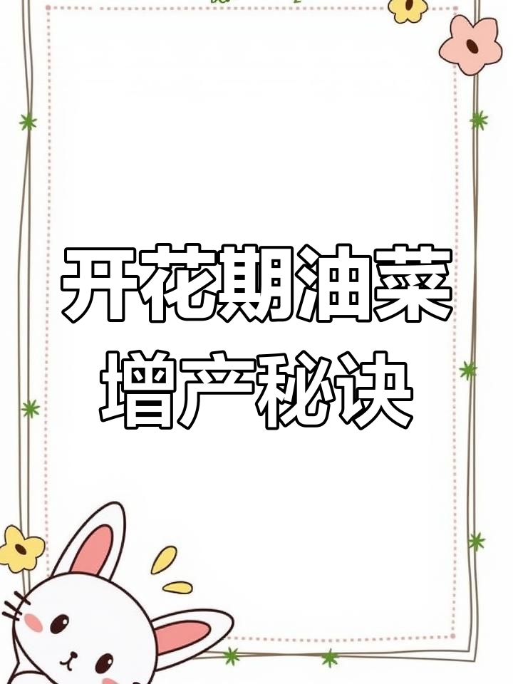 油菜开花期管理技巧,提高产量必看