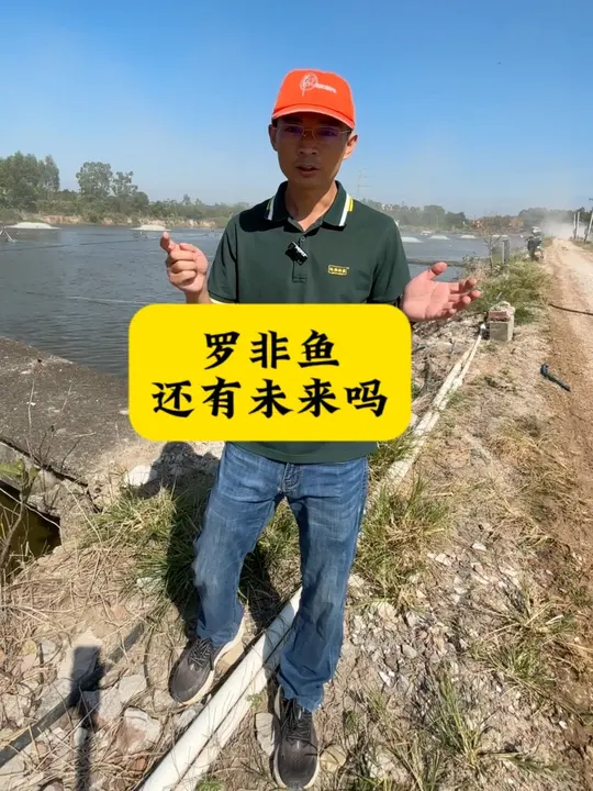 罗非鱼行情低迷，蔡总为何逆势上听？