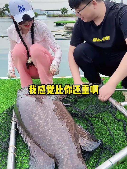 老板说有牙齿的鱼才有效，到底是什么鱼？