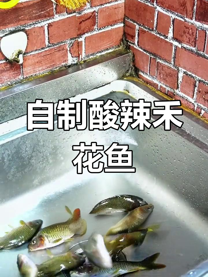 酸辣禾花鱼,开胃又下饭