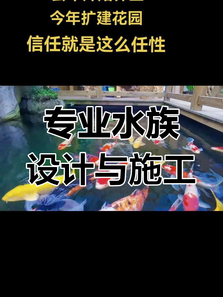 重庆鱼缸定制与锦鲤池扩建