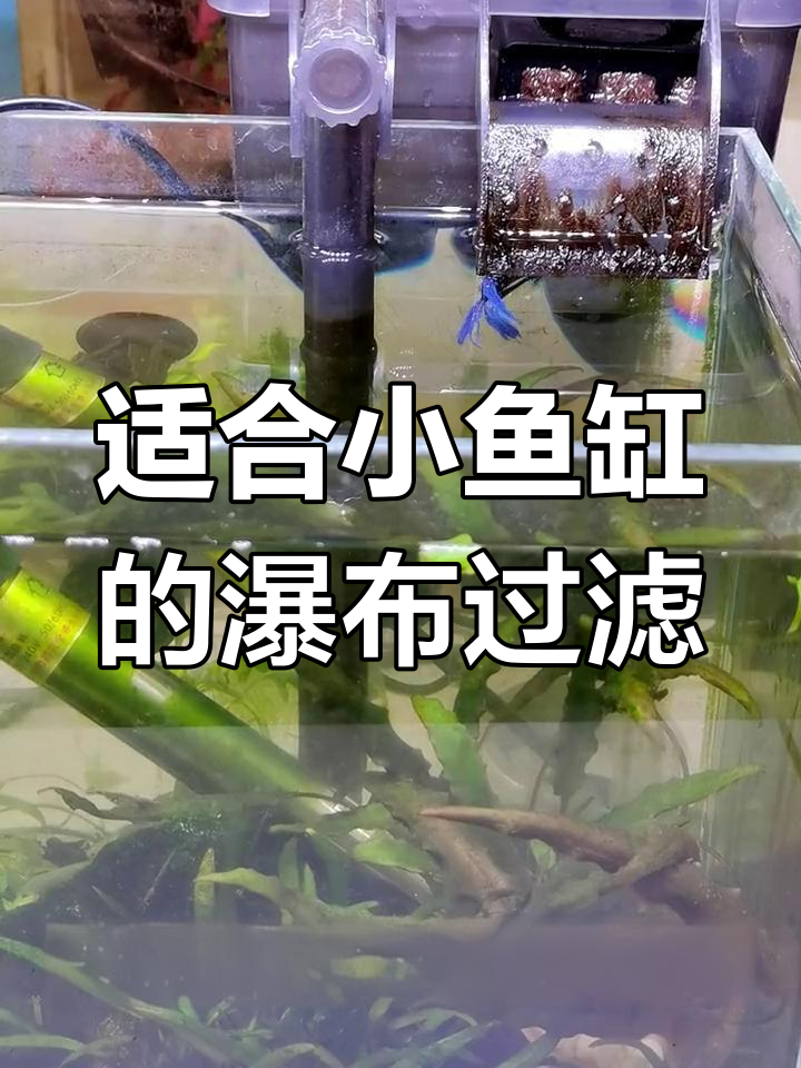 小鱼缸必备瀑布过滤器,轻松打造健康水环境