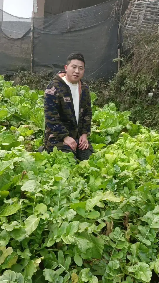 自己种的纯天然绿色蔬菜,才是正宗绿色食品!