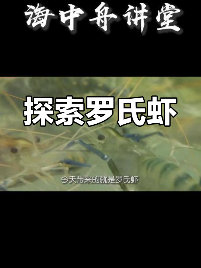 罗氏虾的独特之处,你了解吗?
