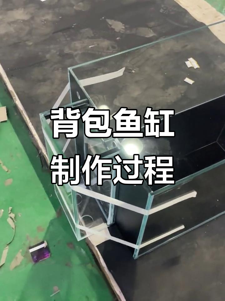 背包鱼缸制作揭秘:如何将背包完美贴合到鱼缸侧面