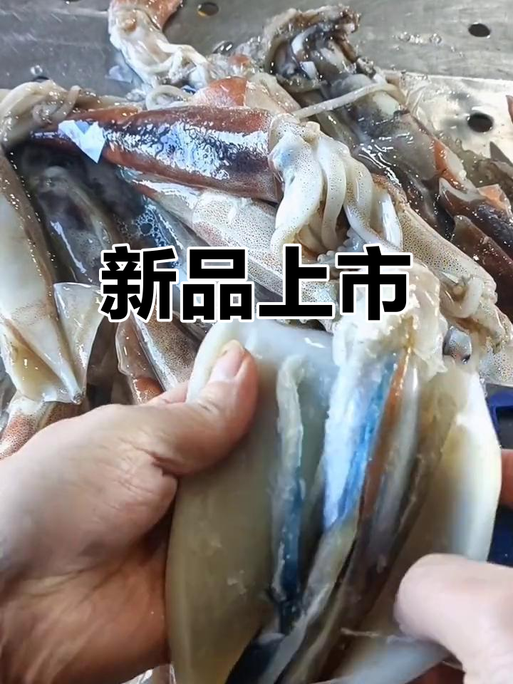 鱿鱼新品上架,宁愿贵点也不愿被说质量差