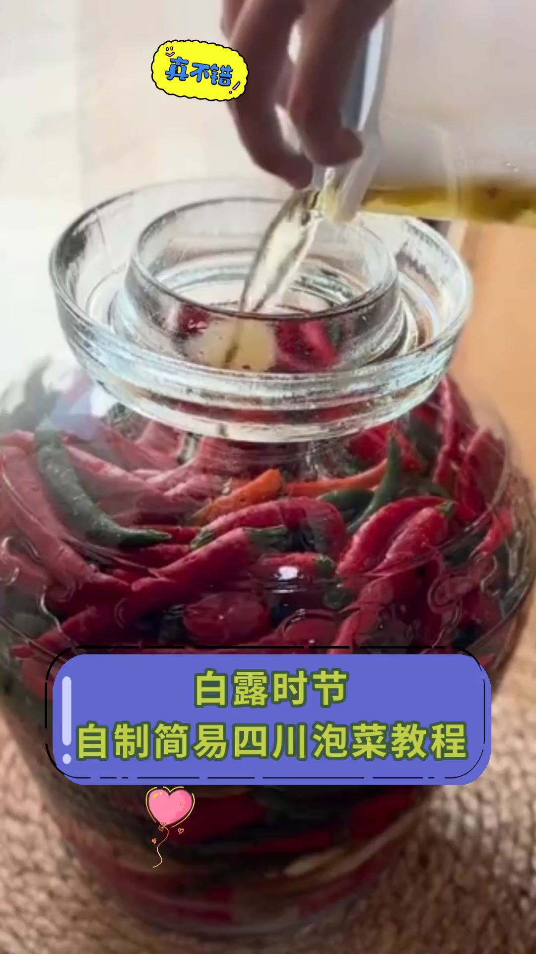 白露时节,自制简易四川泡菜教程