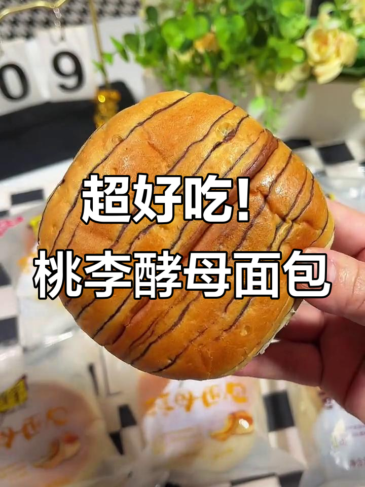 桃李酵母面包,松软又美味,一口下去满满的奶香和巧克力的诱惑