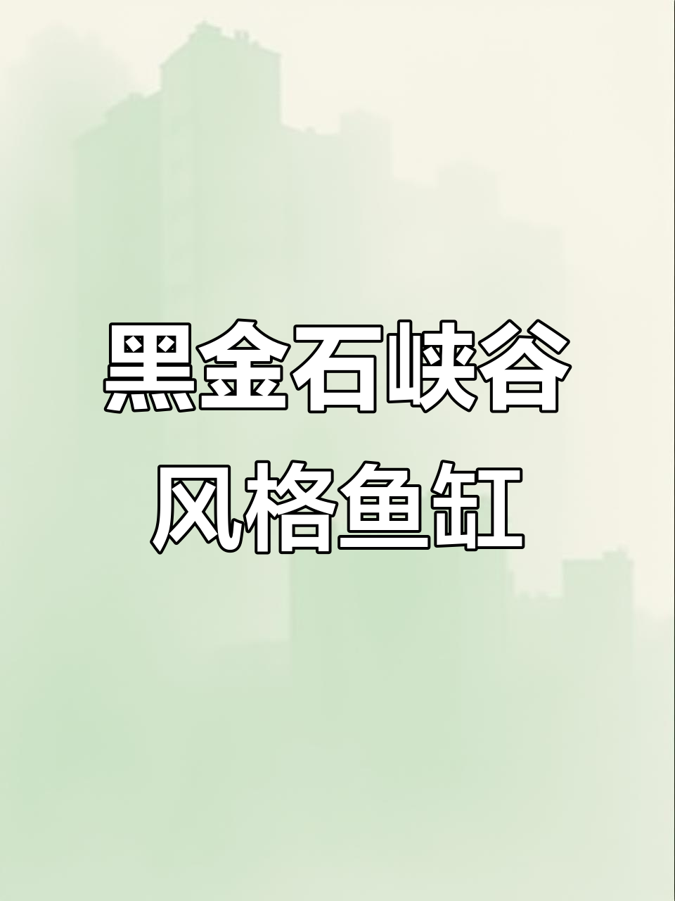 黑金石峡谷风鱼缸造景，新手必看教程