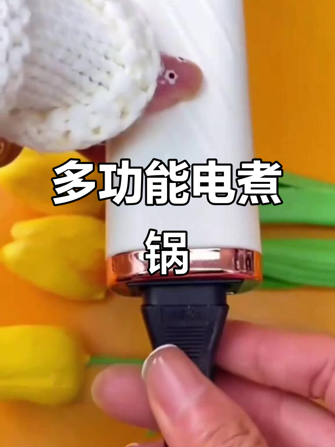 电炒锅多功能,适合家庭或宿舍,4-6人使用