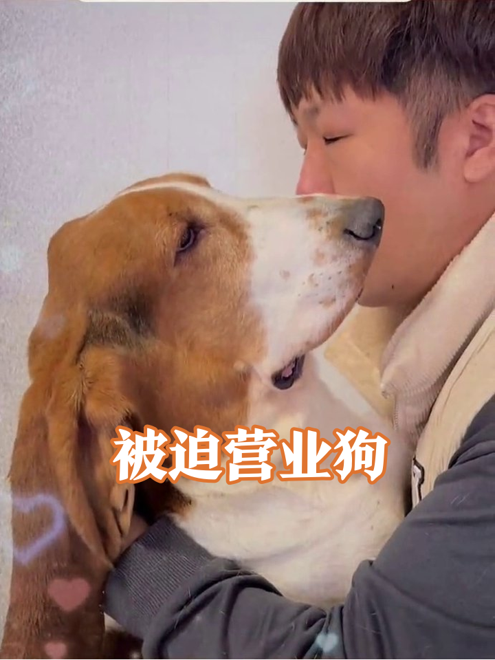 主人强行法式热吻,狗子满脸抗拒却不敢动