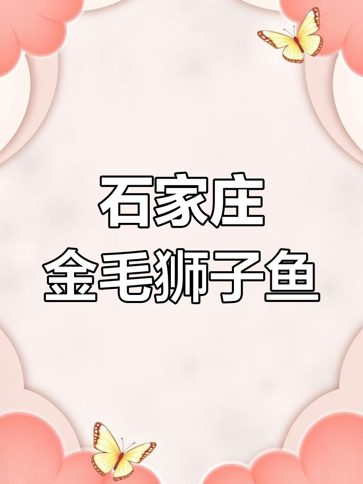 石家庄金毛狮子鱼评测:酸甜适口的家常美味