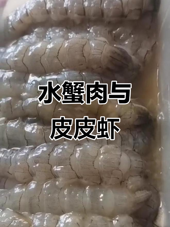海鲜大餐!水蟹肉、皮皮虾饺子,炒菜也能自给自足