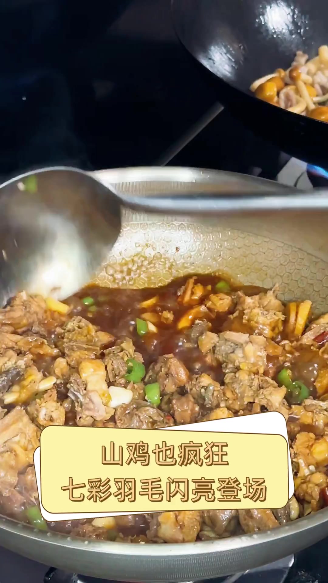 山鸡也疯狂,七彩羽毛闪亮登场