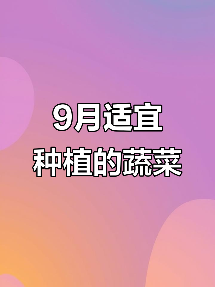 9月种哪些蔬菜？小叶菜、葱类都能安排上