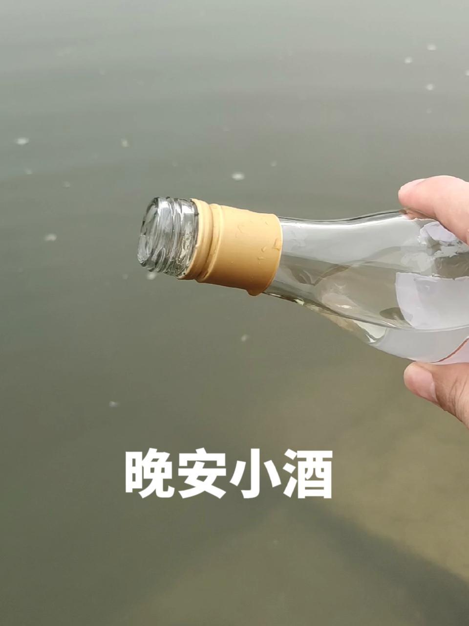 好物推荐 红酒 酒水 好喝不贵 白葡萄 来到河边,喝上一杯小酒,口感酸酸甜甜,丝滑不错