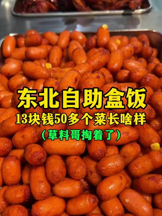 东北自助盒饭13块钱50多个菜长啥样？（草料哥掏着了）