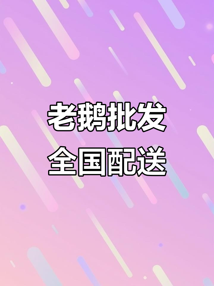 东北老鹅、白条鹅与中龄鹅,冷链物流批发全覆盖