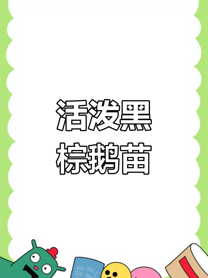 清远黑棕鹅苗长途运输,活力十足,种头大而均匀