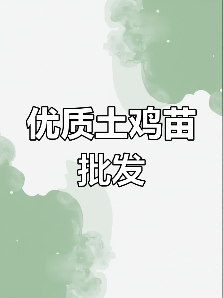 优质土鸡苗批发,健康又强壮