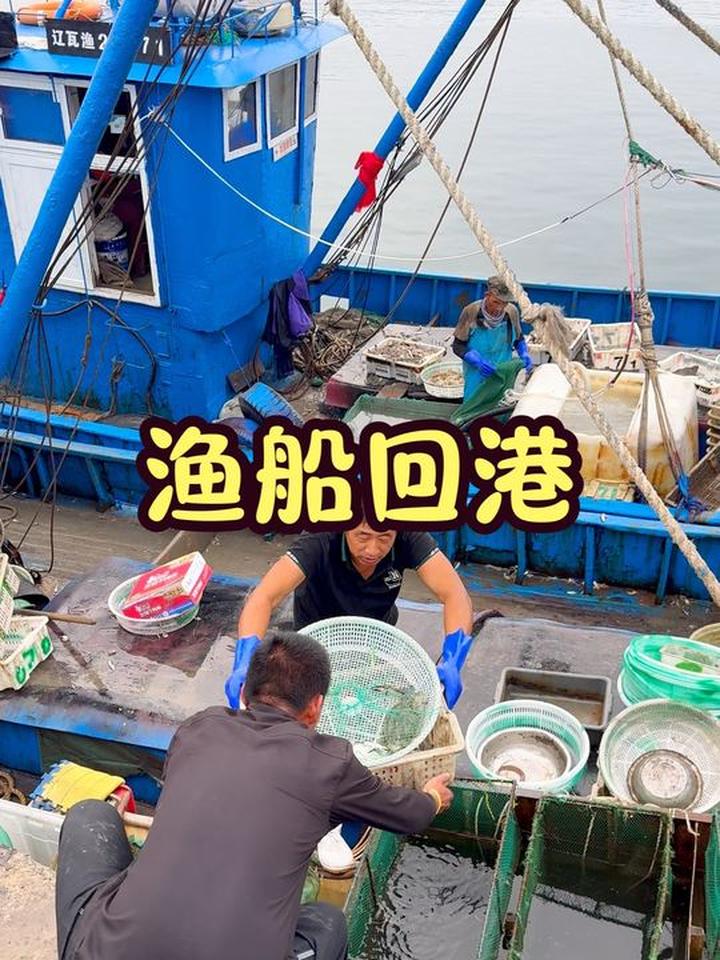 鱼虾蟹齐聚,海岛人的日常尽享大海鲜味