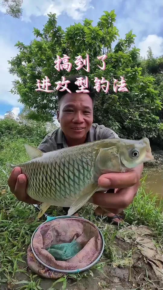 钓草鱼，还是进攻型钓法好用