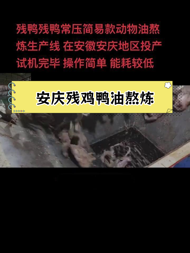 安徽安庆残鸡鸭油熬炼生产线投产,设备适用于多种动物油脂熔炼