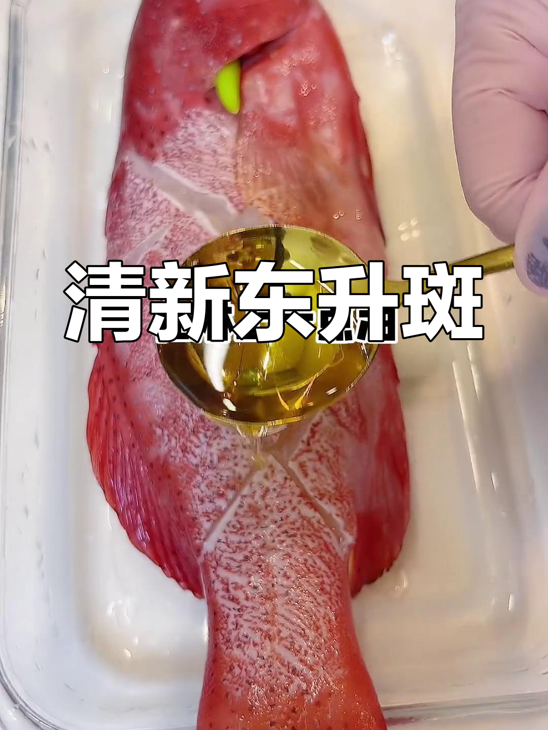 东升斑鱼清蒸,鲜嫩可口,三金轻松搞定!