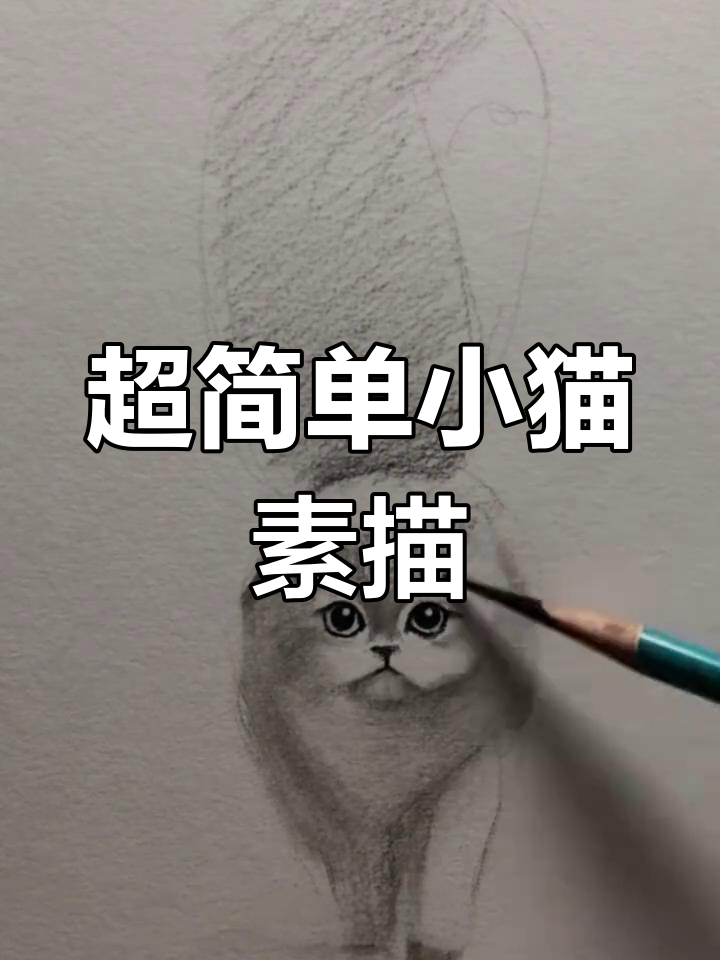 轻松学会素描猫咪画法