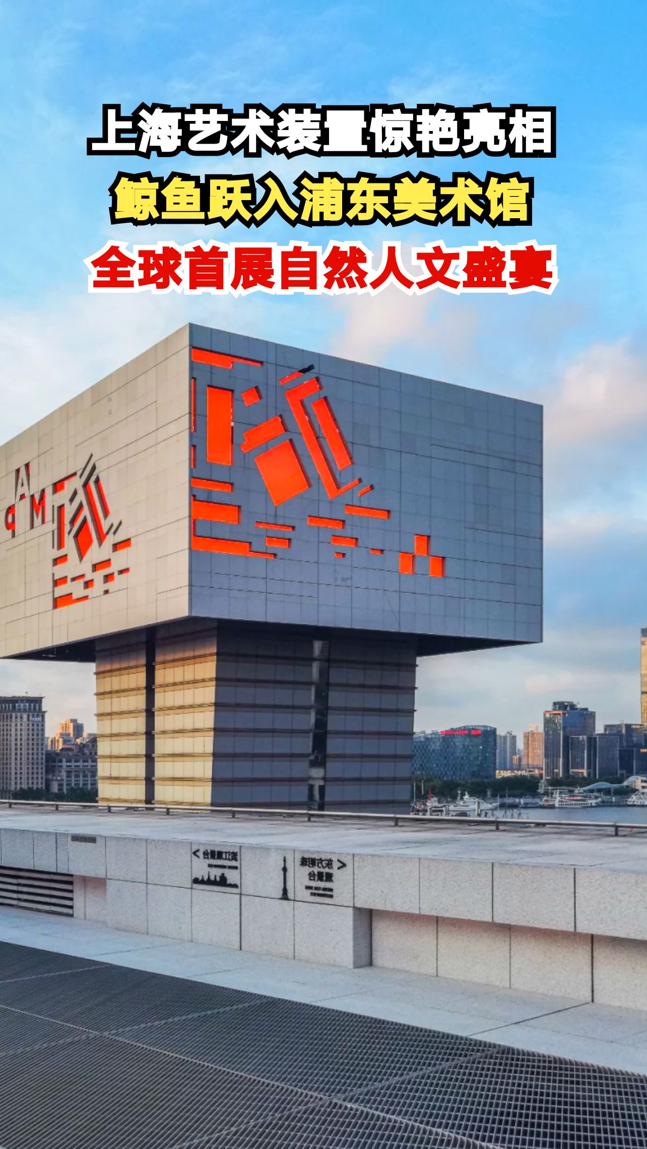 34米高展厅惊现巨型鲸鱼艺术装置，艺术家如何用废弃渔网讲述海洋故事？
