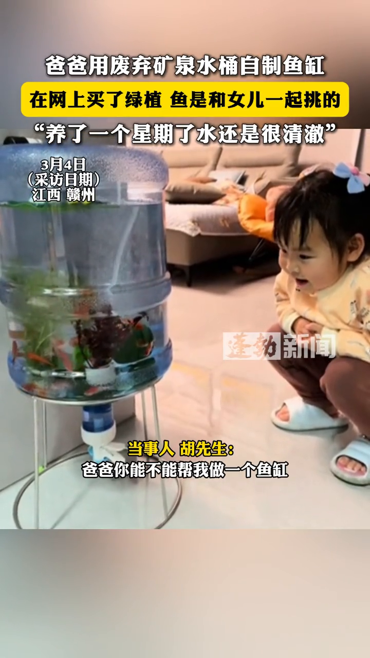 爸爸用废弃矿泉水桶自制鱼缸,在网上买绿植,鱼是和女儿一起挑的